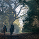 Illustration for article titled As Outlander continues to race through time, some characters never find their footing